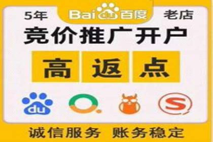 百度广告竞价之成功案例：某行业领军企业的崛起之路